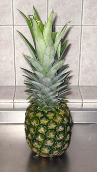 20090718 Pineapple-1.JPG