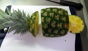 20090718 Pineapple-2.JPG